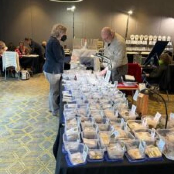 507FFD32-B880-49ED-9F0B-53EFD3AF0100-225x300