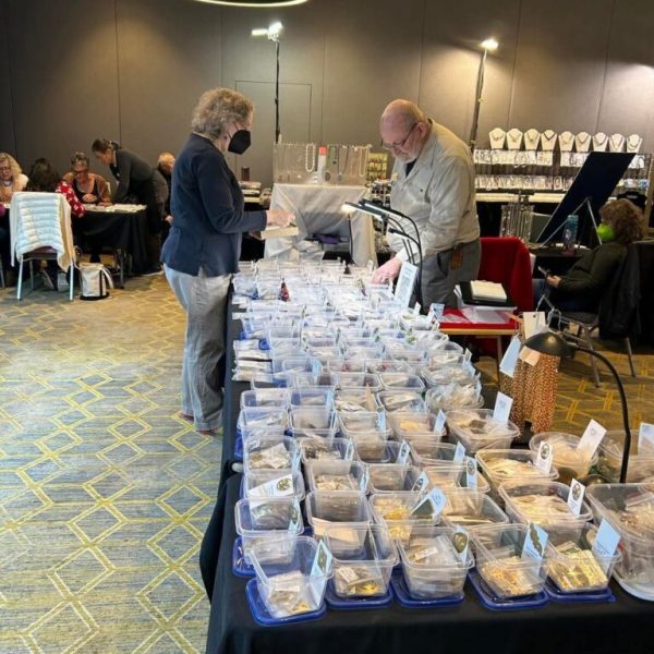 E46826E7-3DED-44A4-8E37-322B3CF2B703-768x1024